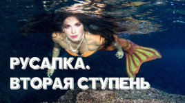 1741680911646.png